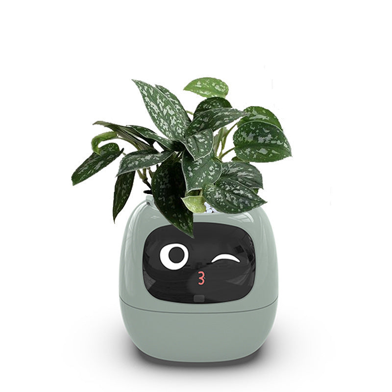 BloomIQ Smart Planter