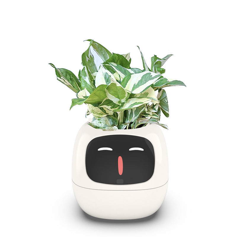 bloom iq indoor plants BloomIQ Smart Planter – Your Store Trends